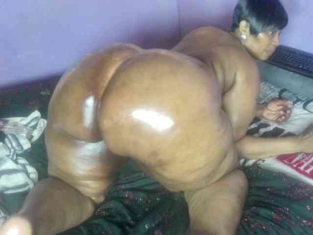 Big-Ass-Wilma webcam