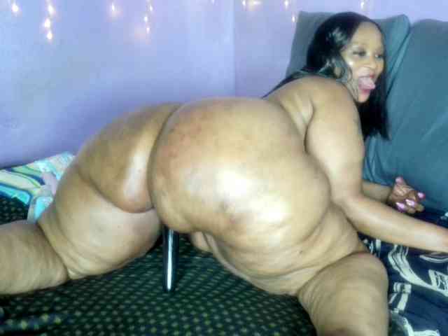 Big-Ass-Wilma webcam