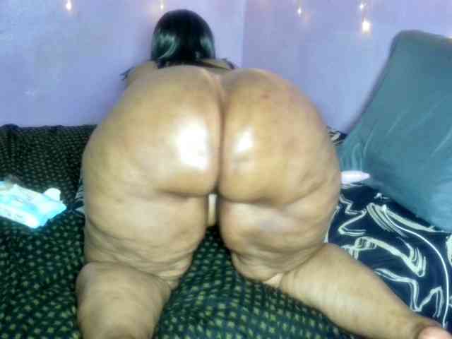 Big-Ass-Wilma webcam