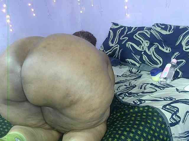 Big-Ass-Wilma webcam