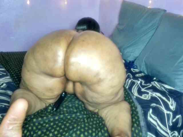 Big-Ass-Wilma webcam