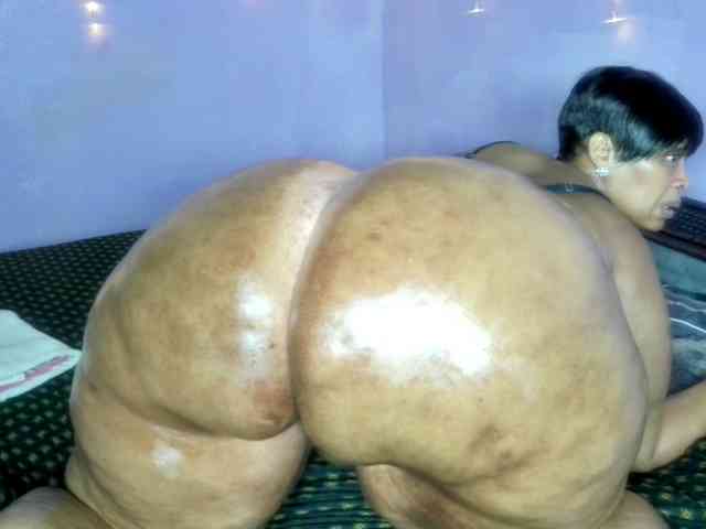 Big-Ass-Wilma webcam