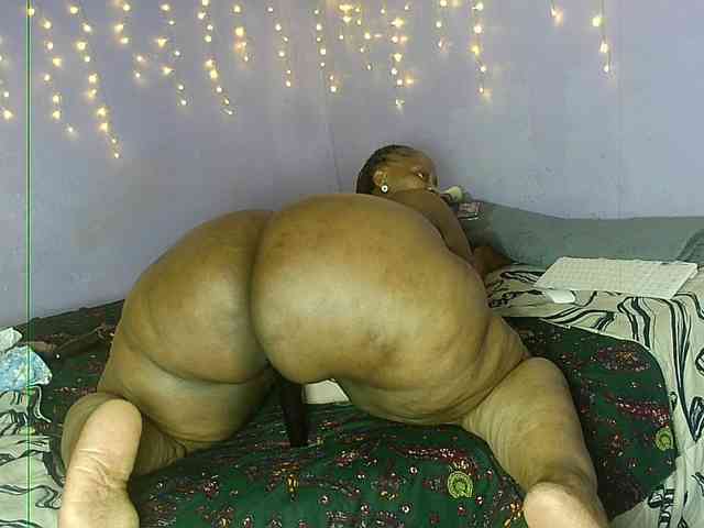 Big-Ass-Wilma webcam