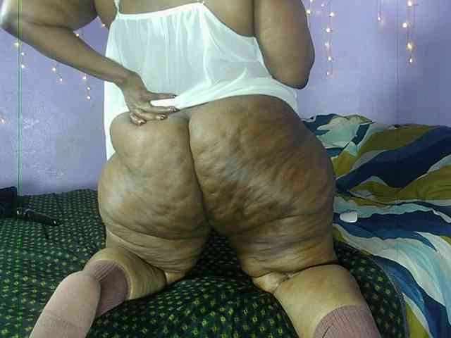 Big-Ass-Wilma webcam