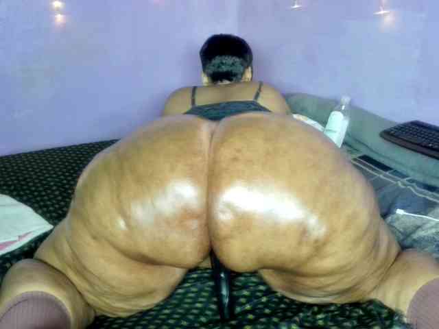 Big-Ass-Wilma webcam
