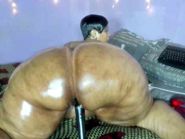 Big-Ass-Wilma webcam