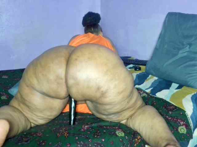 Big-Ass-Wilma webcam