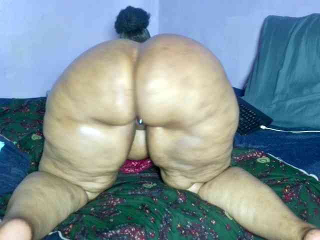 Big-Ass-Wilma webcam