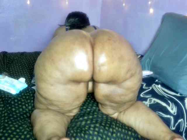 Big-Ass-Wilma webcam