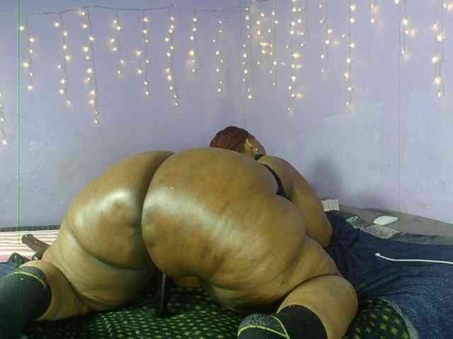 Big-Ass-Wilma webcam