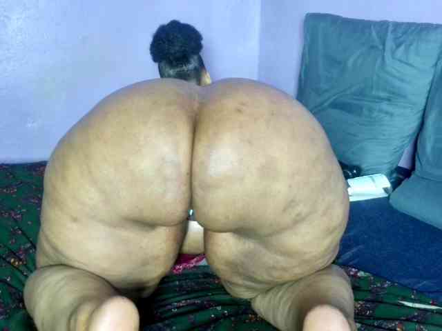 Big-Ass-Wilma webcam