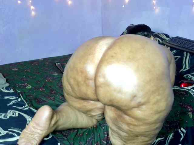 Big-Ass-Wilma webcam