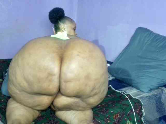 Big-Ass-Wilma webcam