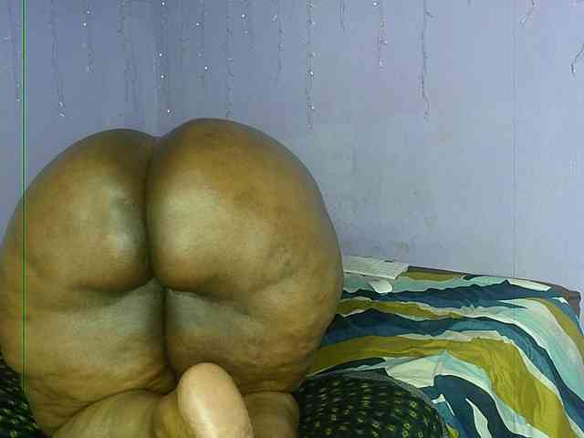 Big-Ass-Wilma webcam
