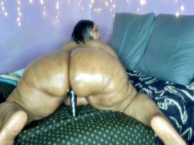 Big-Ass-Wilma webcam