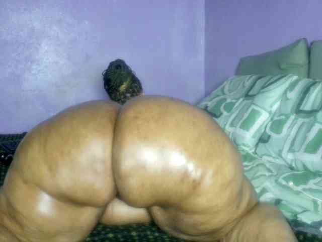 Big-Ass-Wilma webcam