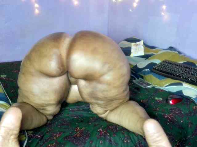 Big-Ass-Wilma webcam