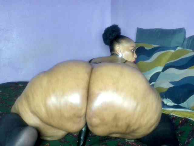 Big-Ass-Wilma webcam