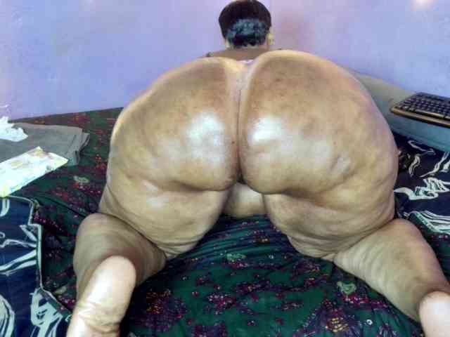 Big-Ass-Wilma webcam