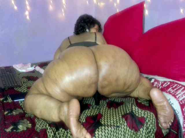 Big-Ass-Wilma webcam