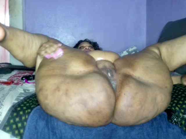 Big-Ass-Wilma webcam