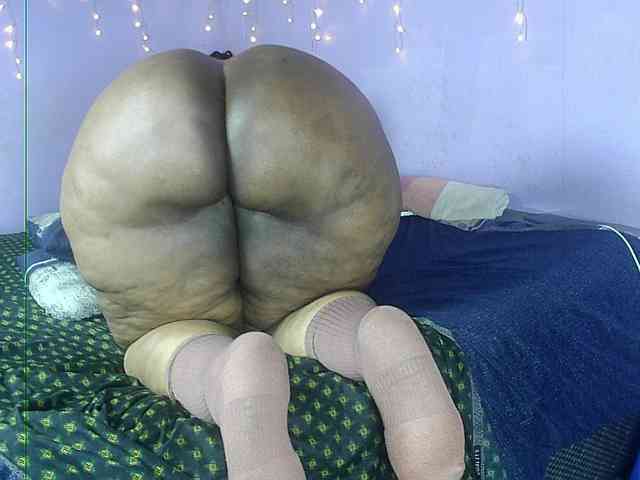 Big-Ass-Wilma webcam