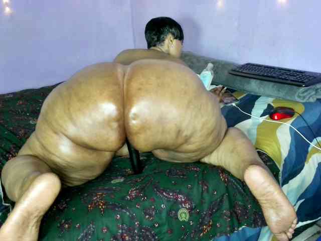 Big-Ass-Wilma webcam