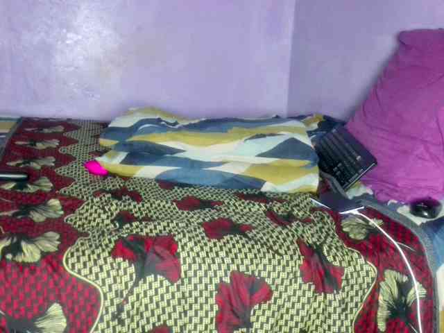 Big-Ass-Wilma webcam