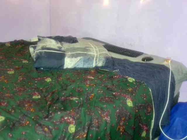 Big-Ass-Wilma webcam