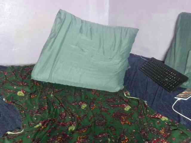 Big-Ass-Wilma webcam