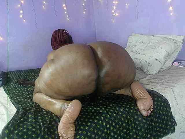 Big-Ass-Wilma webcam