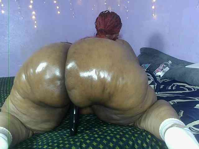 Big-Ass-Wilma webcam