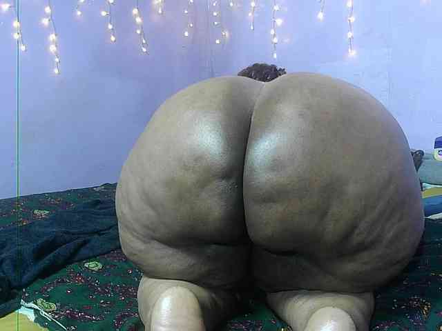 Big-Ass-Wilma webcam