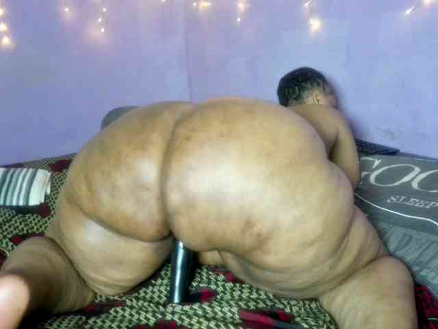 Big-Ass-Wilma webcam