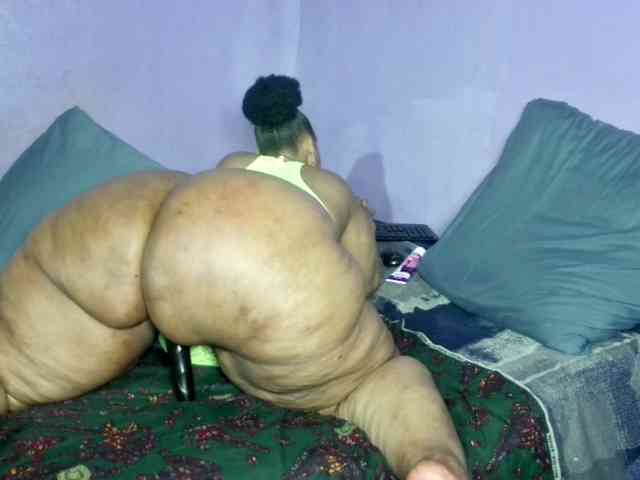 Big-Ass-Wilma webcam