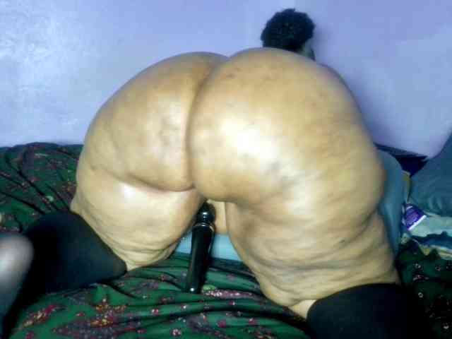 Big-Ass-Wilma webcam