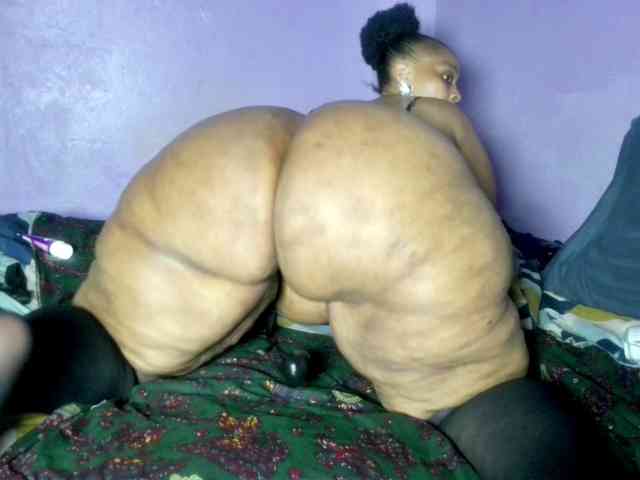 Big-Ass-Wilma webcam