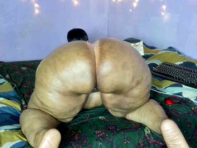 Big-Ass-Wilma webcam