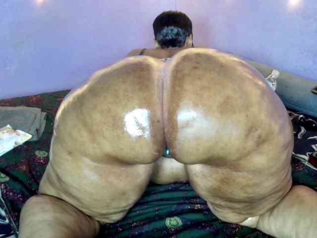 Big-Ass-Wilma webcam