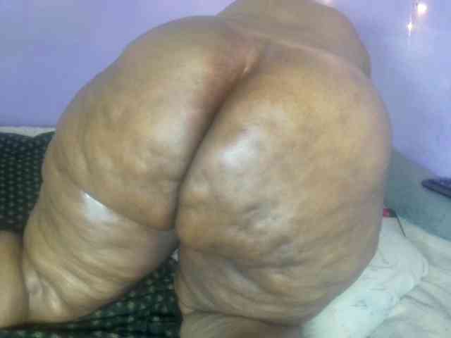 Big-Ass-Wilma webcam