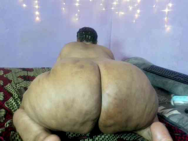 Big-Ass-Wilma webcam