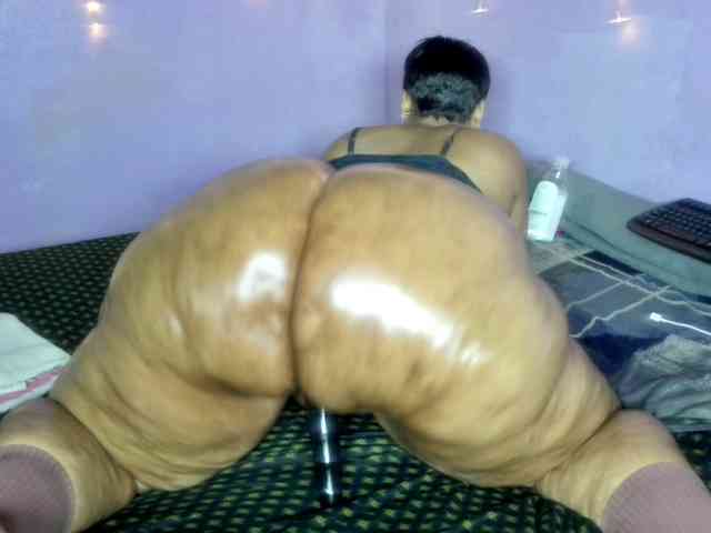 Big-Ass-Wilma webcam