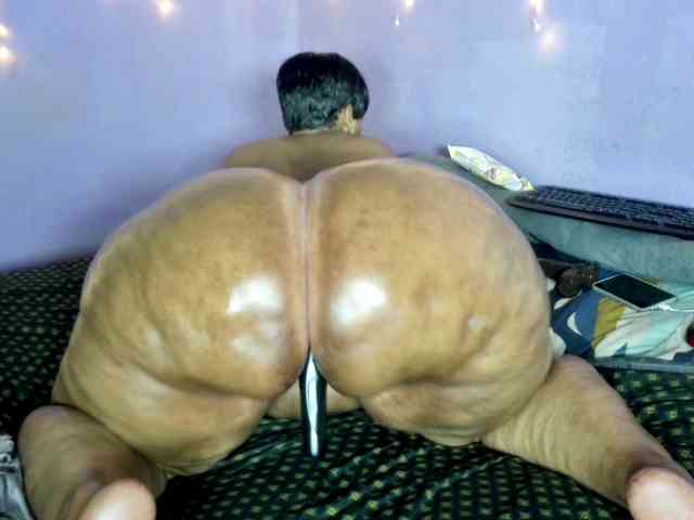 Big-Ass-Wilma webcam