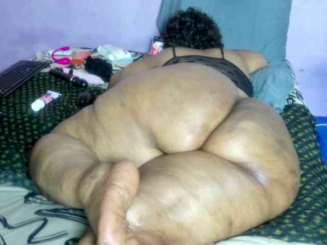 Big-Ass-Wilma webcam