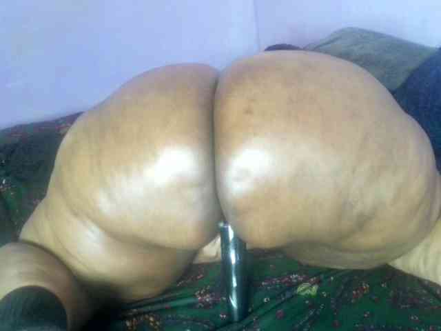 Big-Ass-Wilma webcam