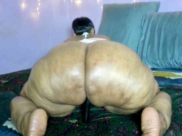 Big-Ass-Wilma webcam