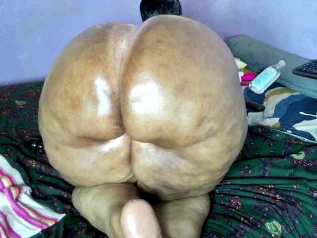 Big-Ass-Wilma webcam