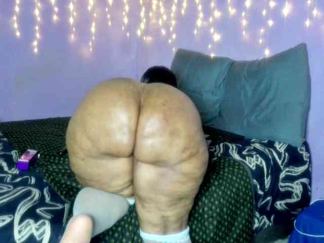 Big-Ass-Wilma webcam