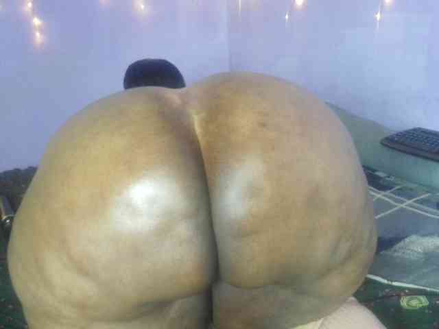 Big-Ass-Wilma webcam
