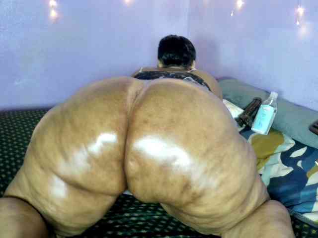 Big-Ass-Wilma webcam